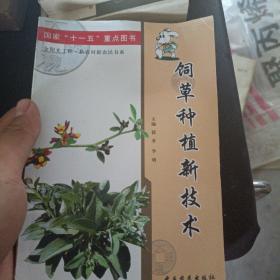 饲草种植新技术