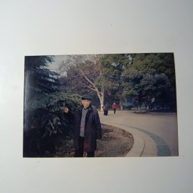 老照片-老人在湖南烈士公园雪松旁留影
