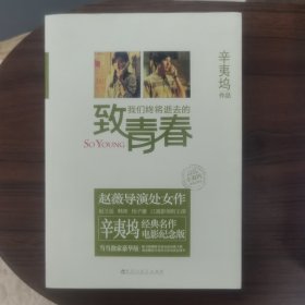 致我们终将逝去的青春：电影纪念版