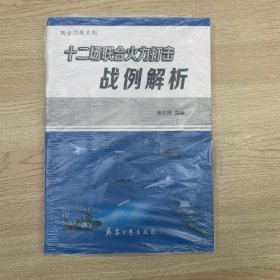 十二场联合火力打击战例解析