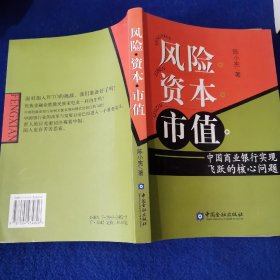 风险资本市值：中国商业银行实现飞跃的核心问题