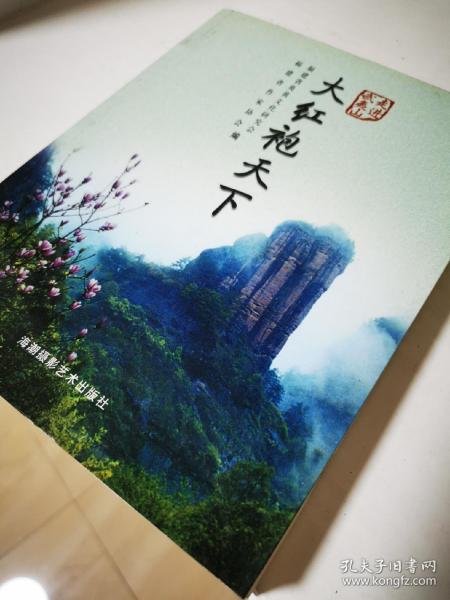 走进武夷山:大红袍天下