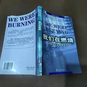 我们在燃烧：日本电子企业研发史