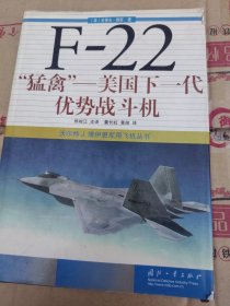 F-22"猛禽"：美国下一代优势战斗机