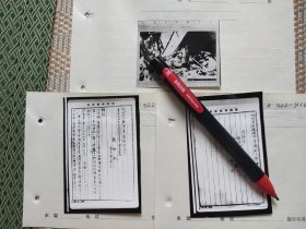 日本讨伐队长岛工作班魏拯民报告书