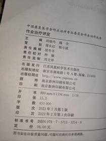 作业治疗评定/中国康复医学会作业治疗专业委员会作业治疗丛书