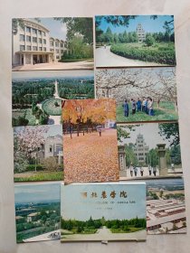 明信片：西北农学院1934-1984（9张）