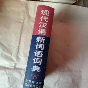 现代汉语新词语词典