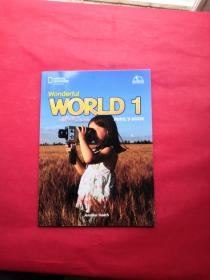 wonderful world 1