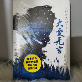 大爱无言（精装）