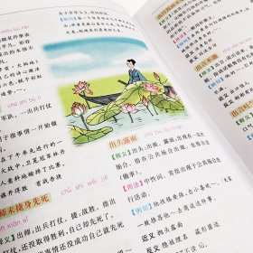 汉语成语词典(彩图版)