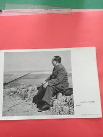 画片巜1952年，毛主席视察黄河》