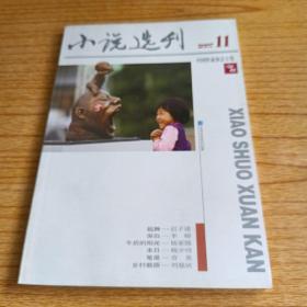 小说选刊2007.11