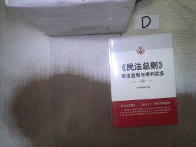 民法总则：司法适用与审判实务