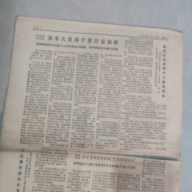 参考消息1970年10月14日老报纸 生日报