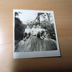老照片–四个青年坐在景区大石头上留影（夏季）