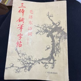 毛泽东诗词 三体钢笔字帖