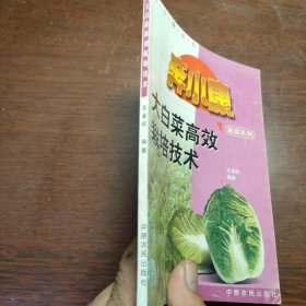 大白菜高效栽培技术