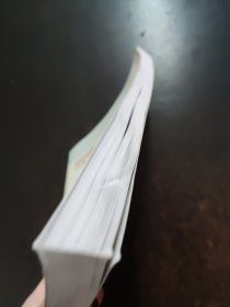 中国软科学研究丛书·“十一五”国家重点图书出版规划项目：中国资源循环产业发展研究