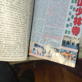 2006年第九期《武林》杂志，总第300期（底边有水迹褶皱揭白）见图