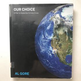 Our Choice：A Plan to Solve the Climate Crisis