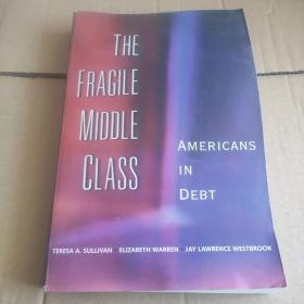 The Fragile Middle Class