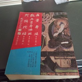 无量寿经 观无量寿经 阿弥陀经