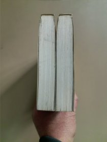 年羹尧(上下)-清代虎将-长篇历史小说