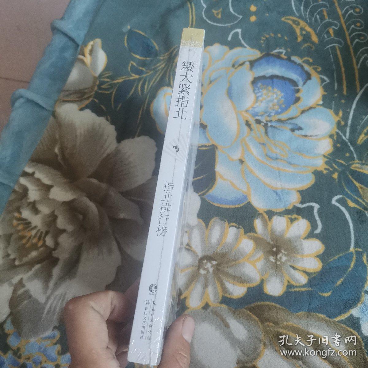 高晓松指南矮大紧指北3：指北排行榜