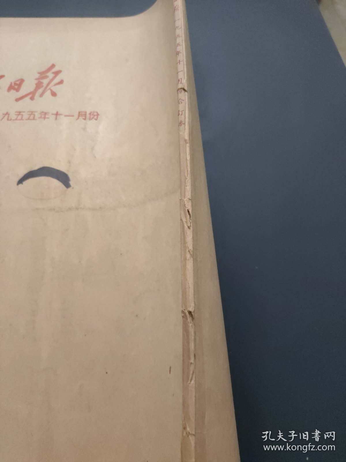 人民日报1955年11月