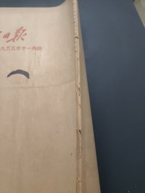 人民日报1955年11月