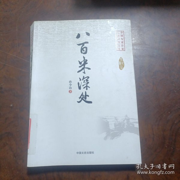 八百米深处（中国专业作家小说典藏文库）