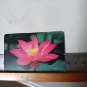 电话IC卡 : 花卉 ：CNT-IC-2 (4一2)花卉