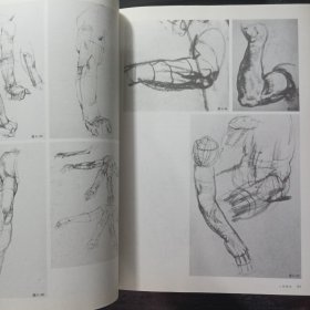 正版 解构人体-艺术人体解剖 孙韬叶南 人民美术出版社