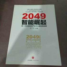 2049：智能崛起——新一代信息技术产业中长期发展战略