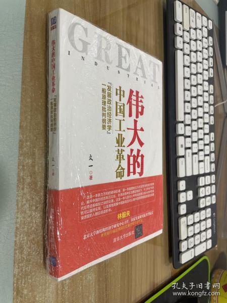 伟大的中国工业革命：“发展政治经济学”一般原理批判纲要.