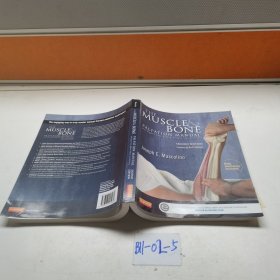 The Muscle and Bone Palpation Manual with Trigger Point,Reterral Patterns,and Stretching