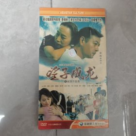 二十集电视连续剧：望子成龙之爸妈不容易（四碟装DVD）未开封