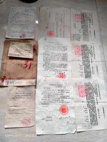 1955年10月10日，，老文档资料一套8页(江苏省启东市人)，日伪人士，三青团，流氓，反革命等，上海市黄埔区判决书。70-7（生日票据，法律文献，历史档案票据）