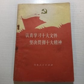 认真学习十大文件坚决贯彻十大精神