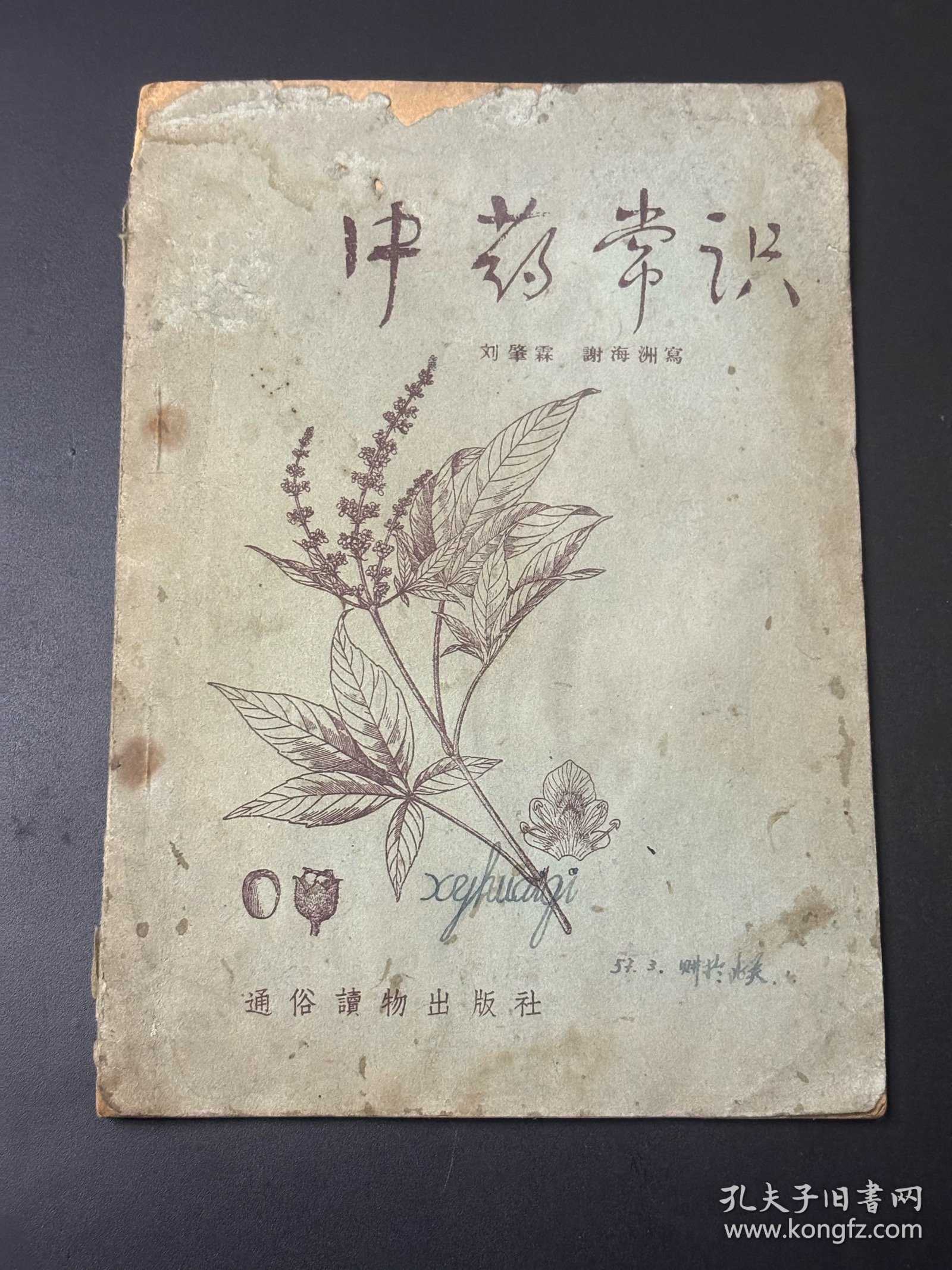 《中药常識》 刘肇霖谢海洲著 通俗護物出版社1956年一版一印 32开