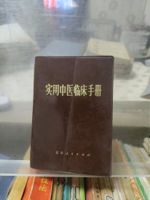 实用中医临床手册
