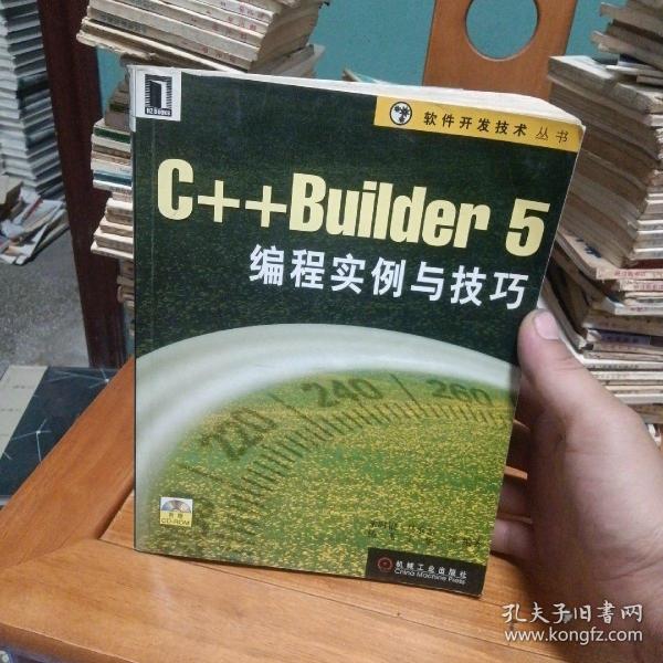 C++Builder 5 编程实例与技巧