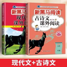 2024新版黑马阅读六年级现代文课外阅读+古诗文课外阅读6年级语文古诗文阅读理解专项训练人教版（套装2册）