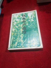银杏丰产栽培