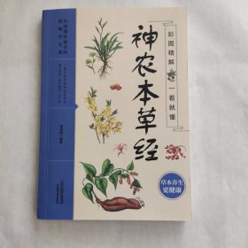 神农本草经【190页】
