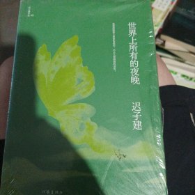 世界上所有的夜晚（茅盾文学奖、鲁迅文学奖得主迟子建小说代表作）(大本32进210)