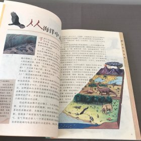 青少年成长必读·人文科学知识丛书：动物的故事（彩图版）
