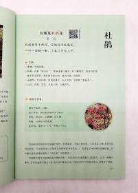 《写给孩子的古典文学植物图鉴》，16开，全三册，铜版彩印，孙海等著，海燕出版社2020年版，定价88元。《写给孩子的古典文学植物图鉴》（全三册）是写给5~12岁孩子的植物启蒙书，一套三册，分为诗经篇、唐诗篇和宋词篇。作者把古典文学与植物科普结合在一起，以生动平实的语言，详细科普那些来自《诗经》、唐诗和宋词里的中国乡土植物，不仅还原了几千年来文人笔下的植物原貌，还挖掘出与植物相关的历史典故。