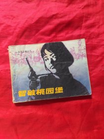 连环画 智破桃园堡